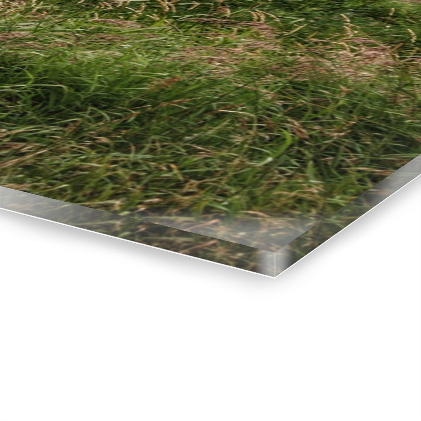 U R There Photography Mayville Road Red Quonset Rustic Farmhouse Acrylic Wall Print