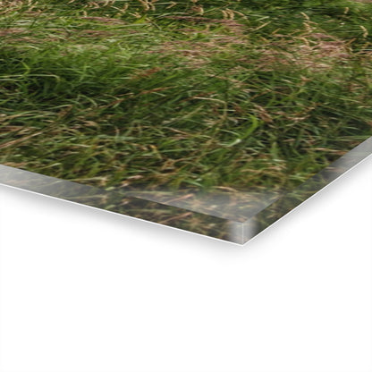 U R There Photography Mayville Road Red Quonset Rustic Farmhouse Acrylic Wall Print