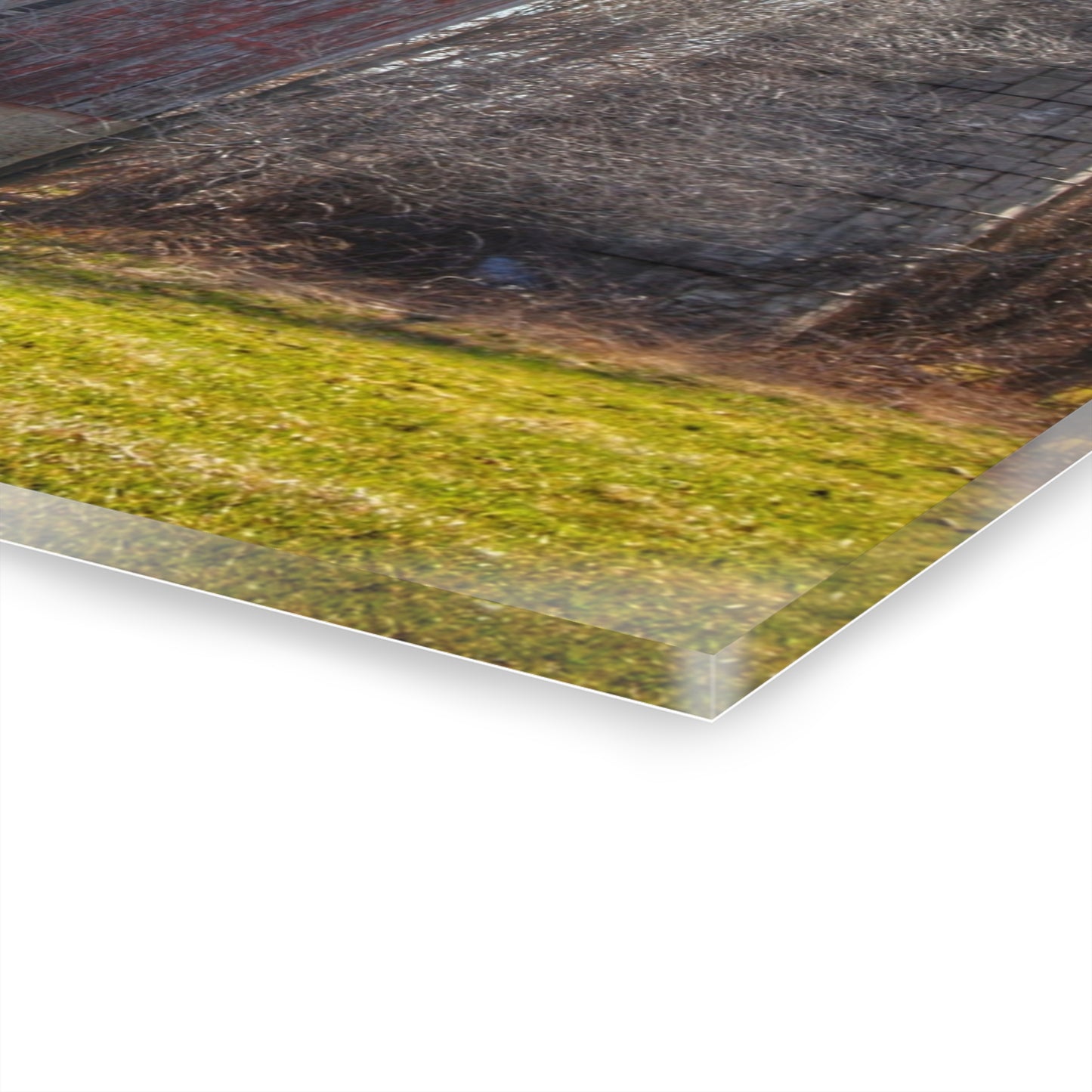 U R There Photography M-15 Red Rustic Farmhouse Acrylic Wall Print