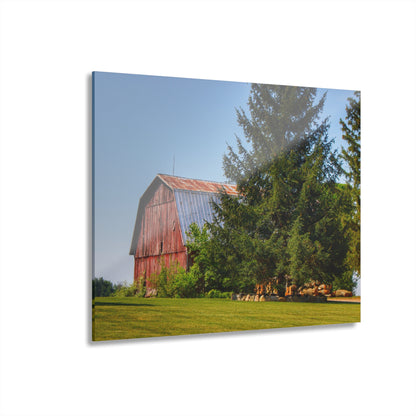 U R There Photography Mushroom Road Hidden Red Rustic Farmhouse Acrylic Wall Print