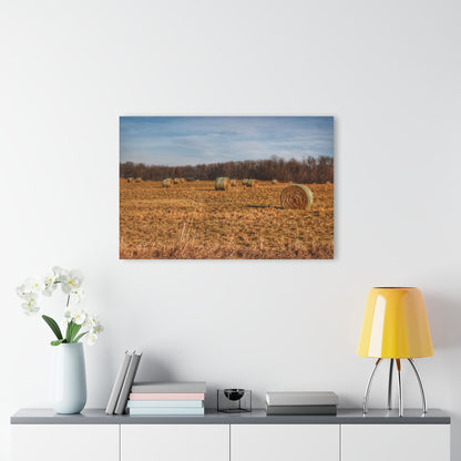 Barn Boutique Modern Farmhouse Acrylic Wall Print| December Haybales