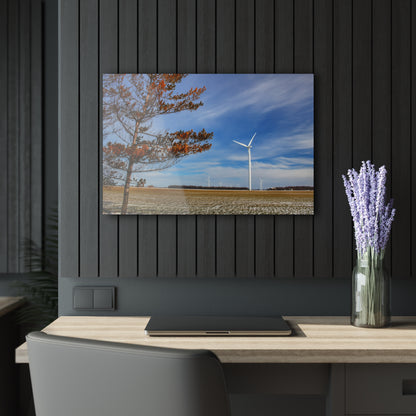 U R There Photography Winter Windmills Rustic Farmhouse Acrylic Wall Print