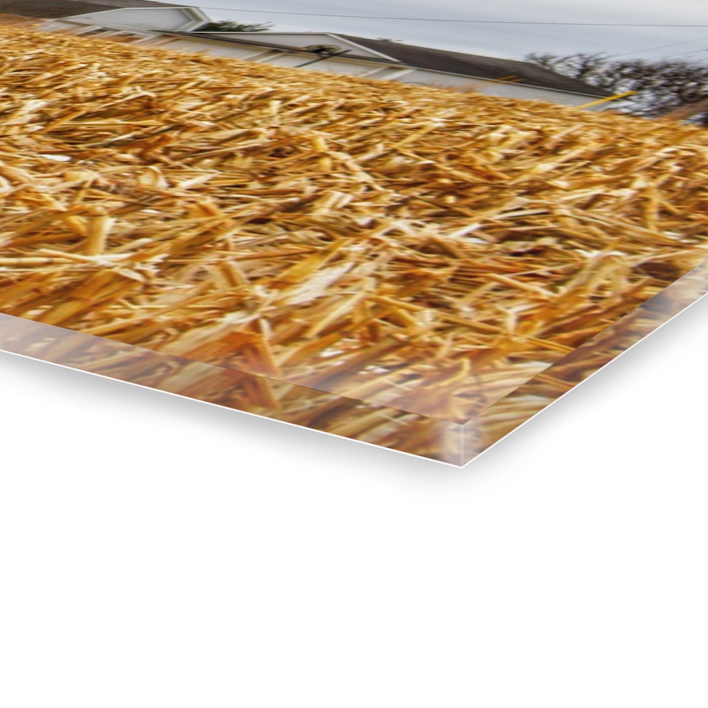 U R There Photography Jones Road Red Rustic Farmhouse Acrylic Wall Print