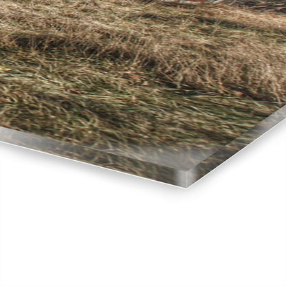 U R There Photography Lapeer Road Crooked Red Rustic Farmhouse Acrylic Wall Print