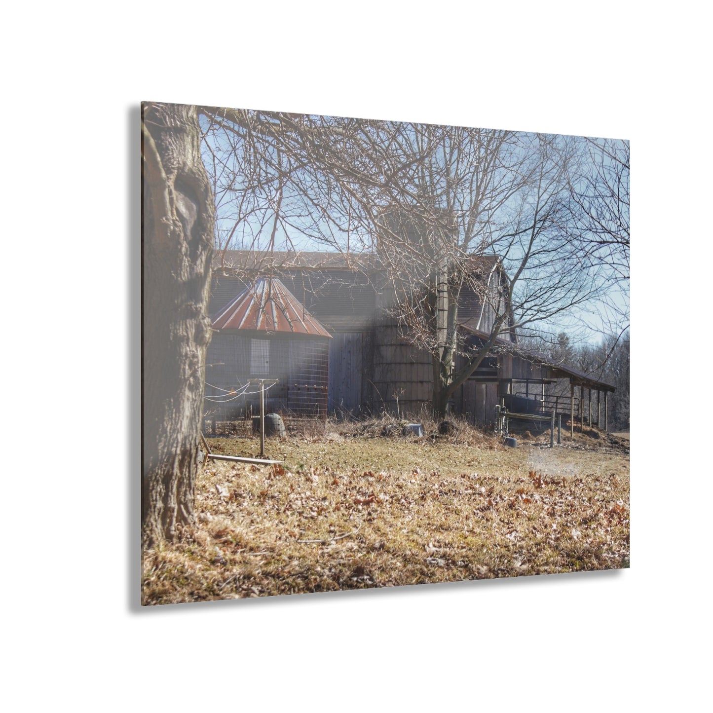 U R There Photography Hagerman Hidden Rustic Farmhouse Acrylic Wall Print