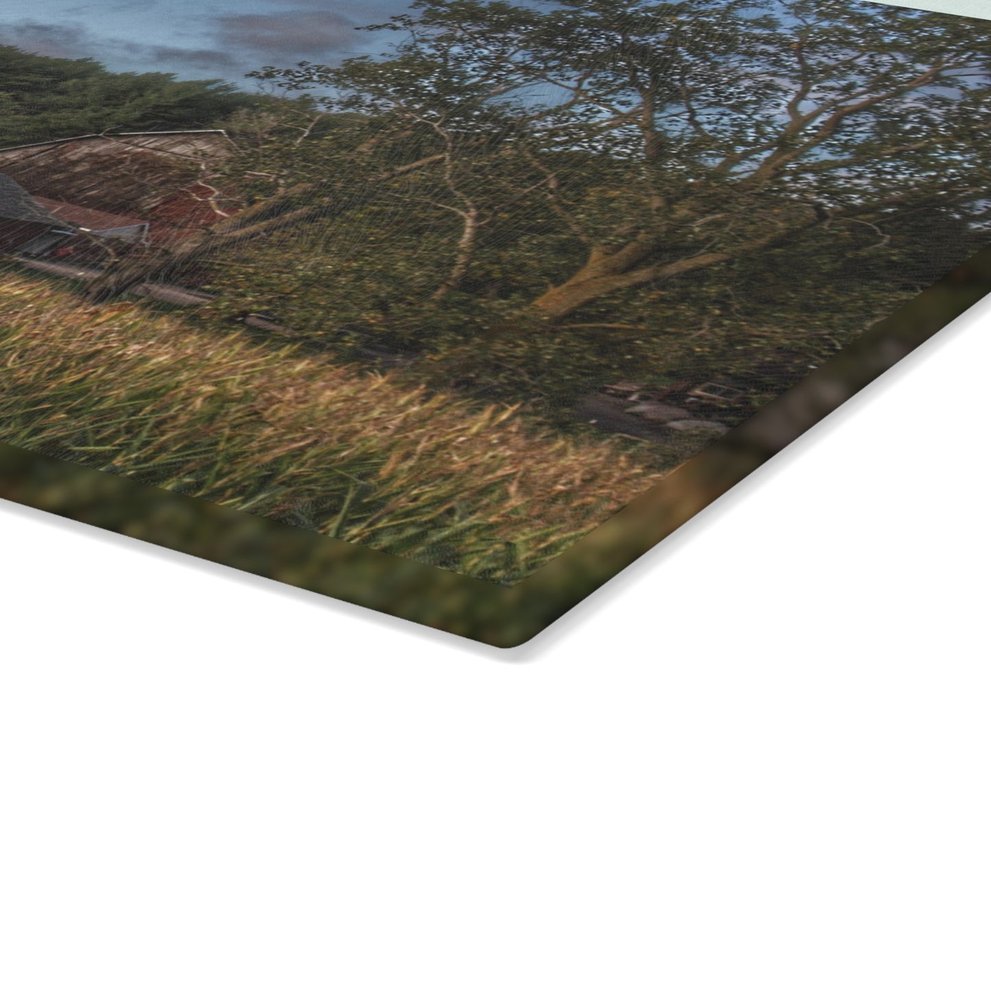 U R There Photography West Oregon Road Hidden Red II Rustic Farmhouse Tempered-Glass Cutting Board