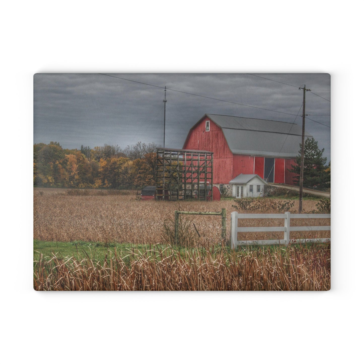 U R There Photography Barnes Road Red in Fall Rustic Farmhouse Tempered-Glass Cutting Board