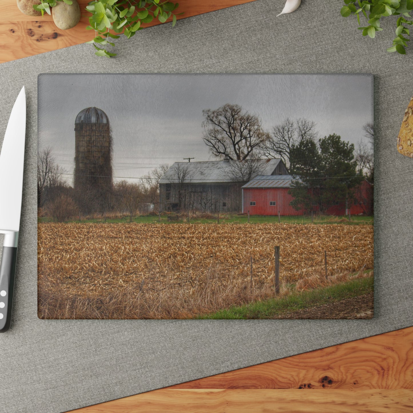 U R There Photography Dryden Road Gable Grey and Silo Rustic Farmhouse Tempered-Glass Cutting Board