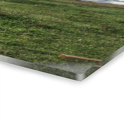 U R There Photography East Frances Quonset and Cows Rustic Farmhouse Acrylic Wall Print