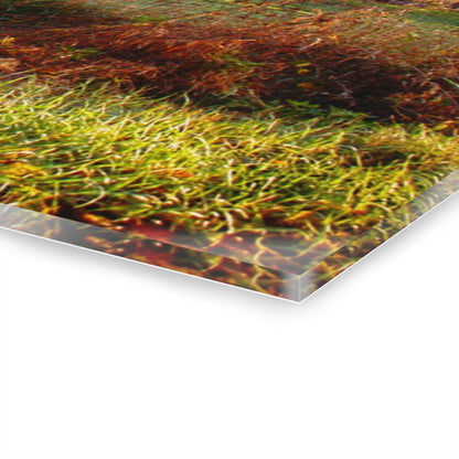 U R There Photography Hunters Creek Grey Saltbox Rustic Farmhouse Acrylic Wall Print