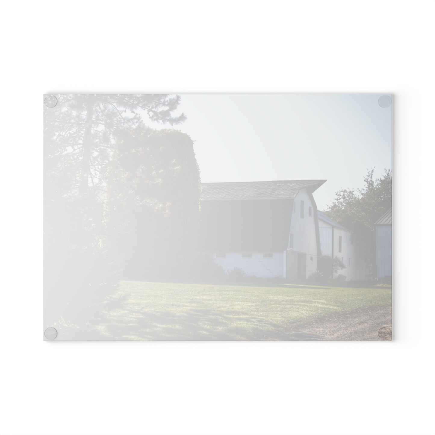 U R There Photography Five Lakes Road White Rustic Farmhouse Tempered-Glass Cutting Board