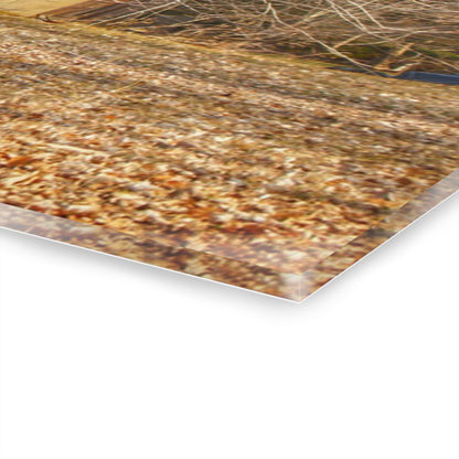 U R There Photography Millington Road Collapsing Red Rustic Farmhouse Acrylic Wall Print