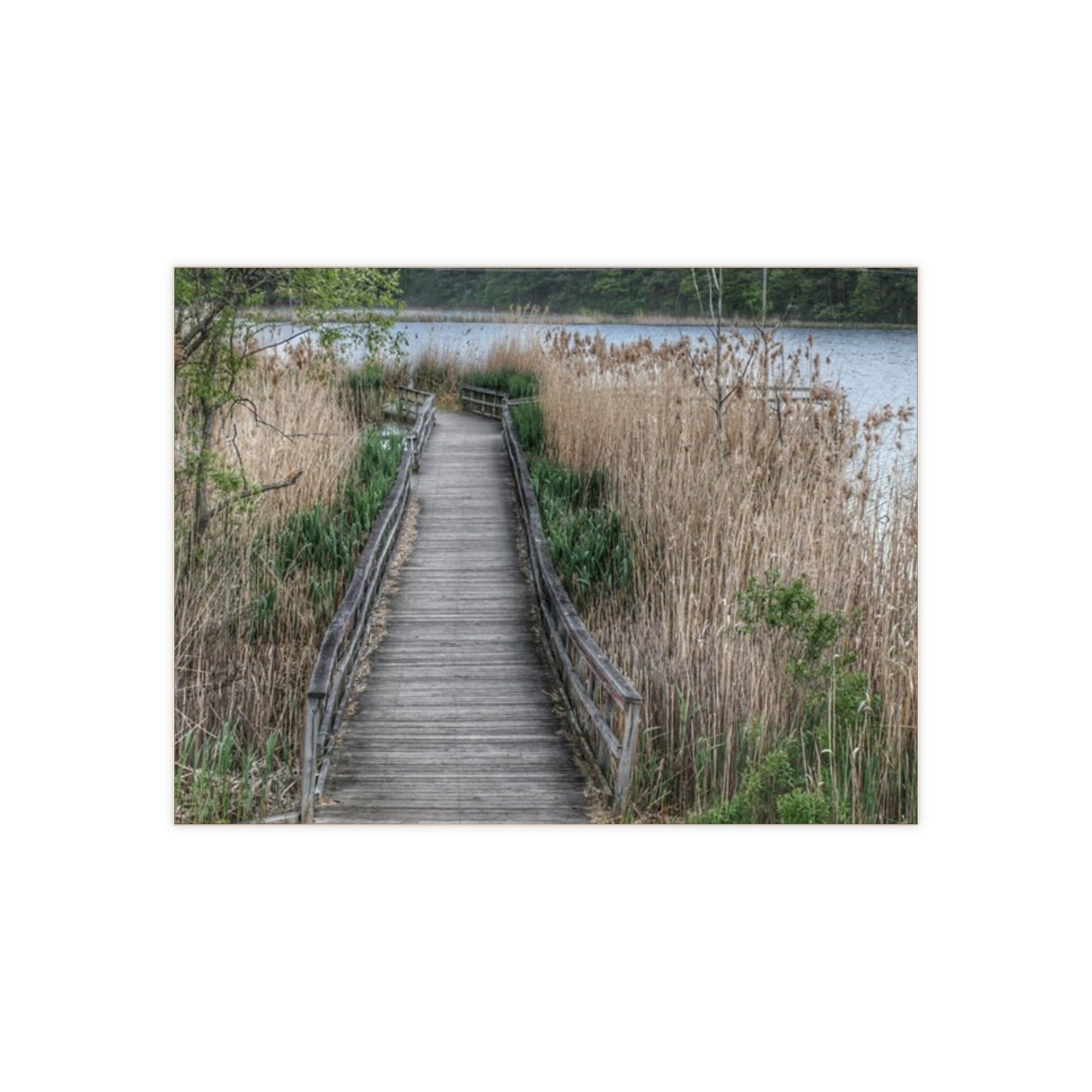 U R There Photography Linear Park Bridge In Lapeer II Rustic Farmhouse Decorative Ceramic Tile