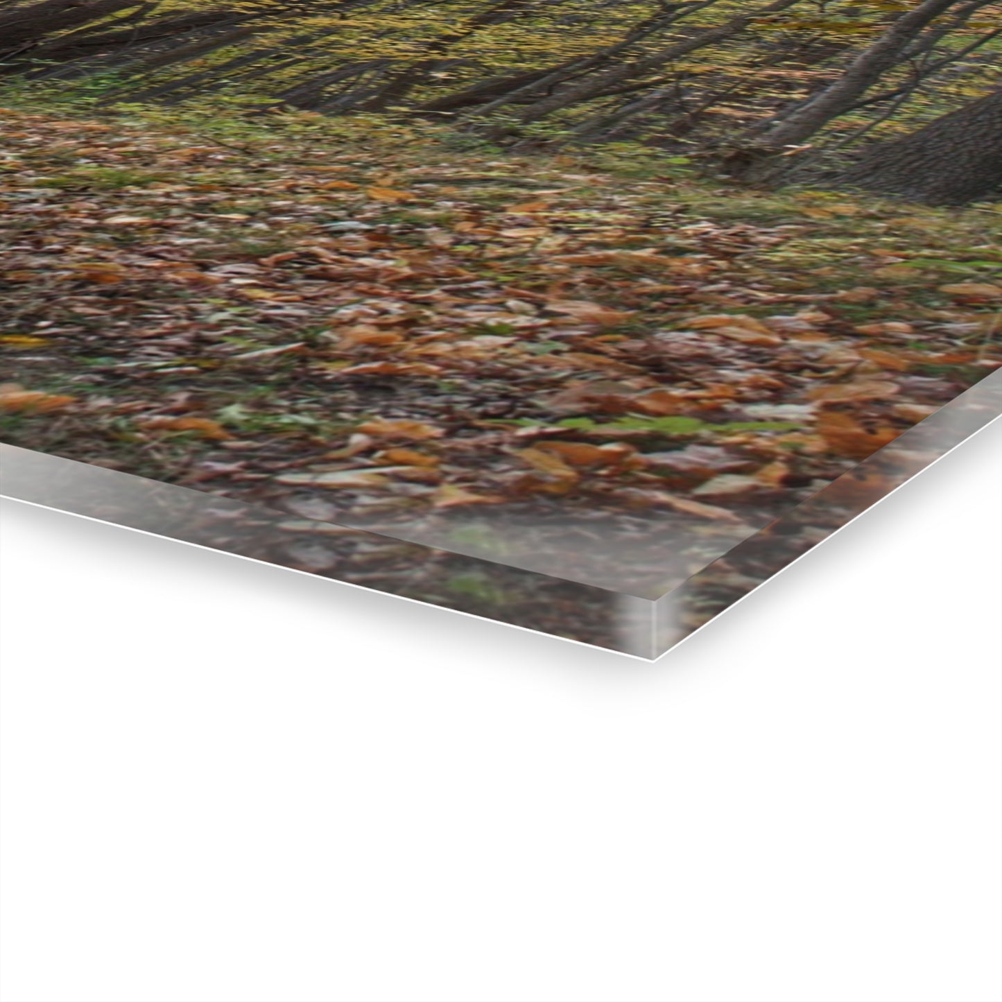 U R There Photography Country Roads in Dryden III Rustic Farmhouse Acrylic Wall Print