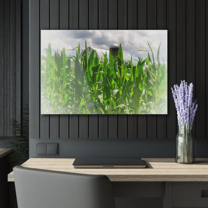 U R There Photography Beyond the Corn in Millington Rustic Farmhouse Acrylic Wall Print