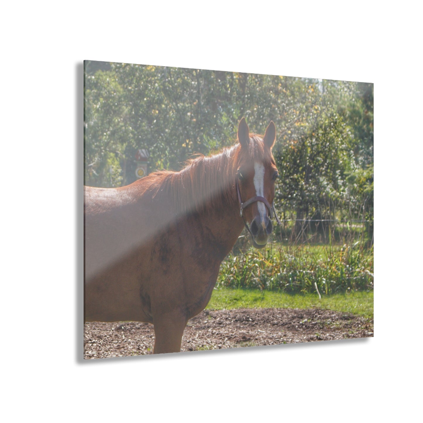 U R There Photography Froede Road Chestnut Brown Rustic Farmhouse Acrylic Wall Print