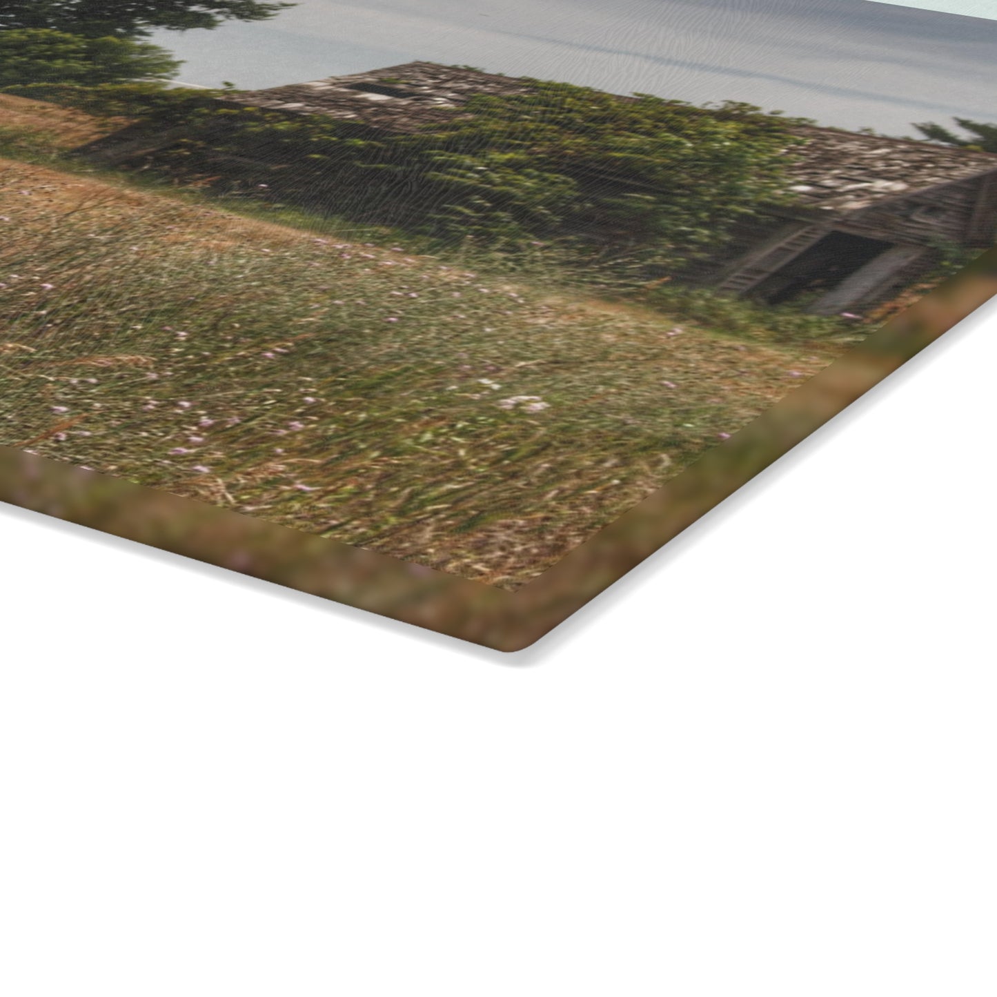 U R There Photography Waterman Road Shack Beyond the Fence Rustic Farmhouse Tempered-Glass Cutting Board