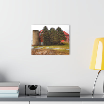 U R There Photography Laur Road Red Among the Pines III Rustic Farmhouse Acrylic Wall Print