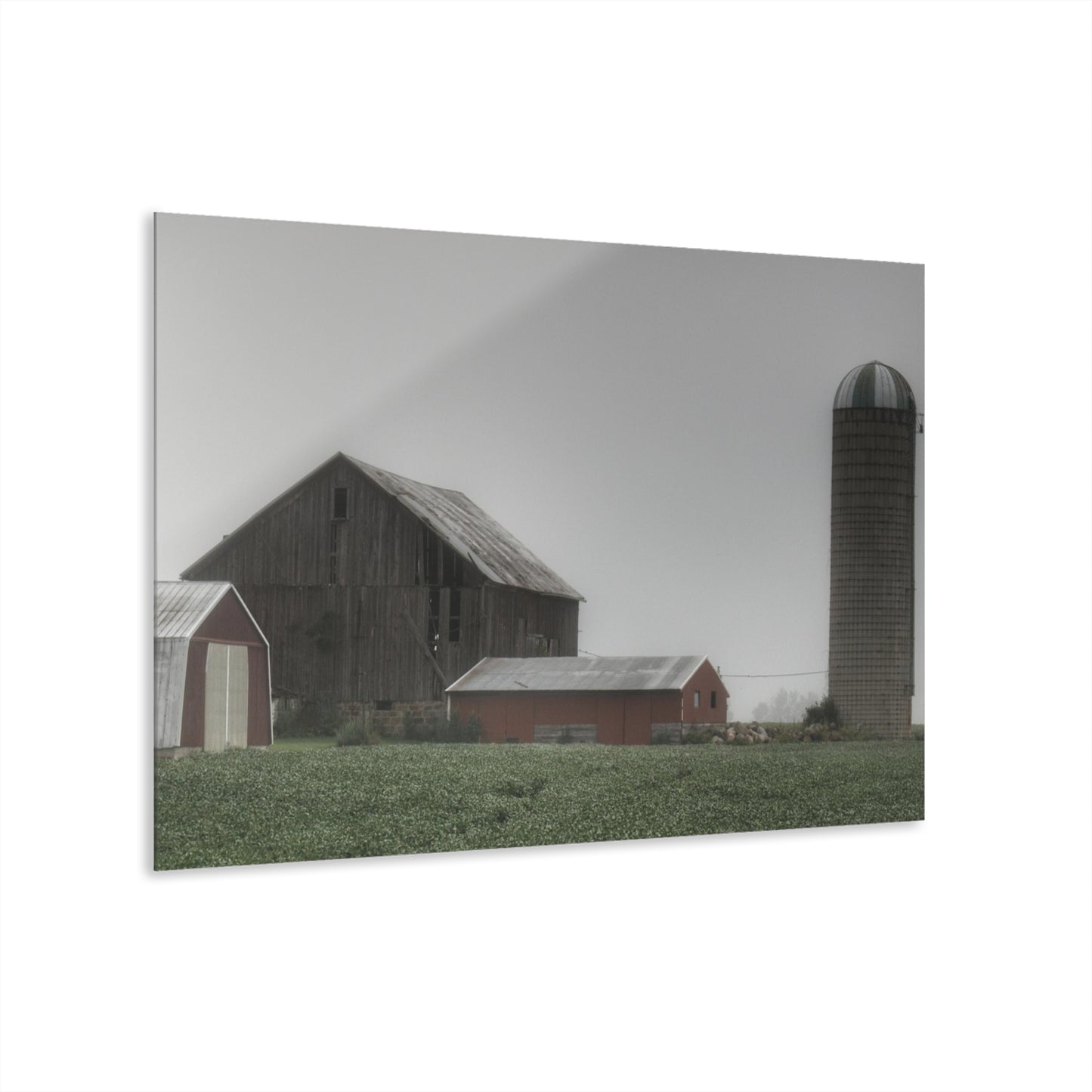 U R There Photography Farm in the Fog Rustic Farmhouse Acrylic Wall Print