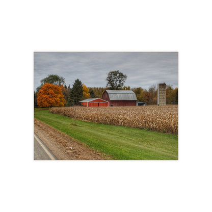 U R There Photography Birch Run Road Reds Rustic Farmhouse Decorative Ceramic Tile