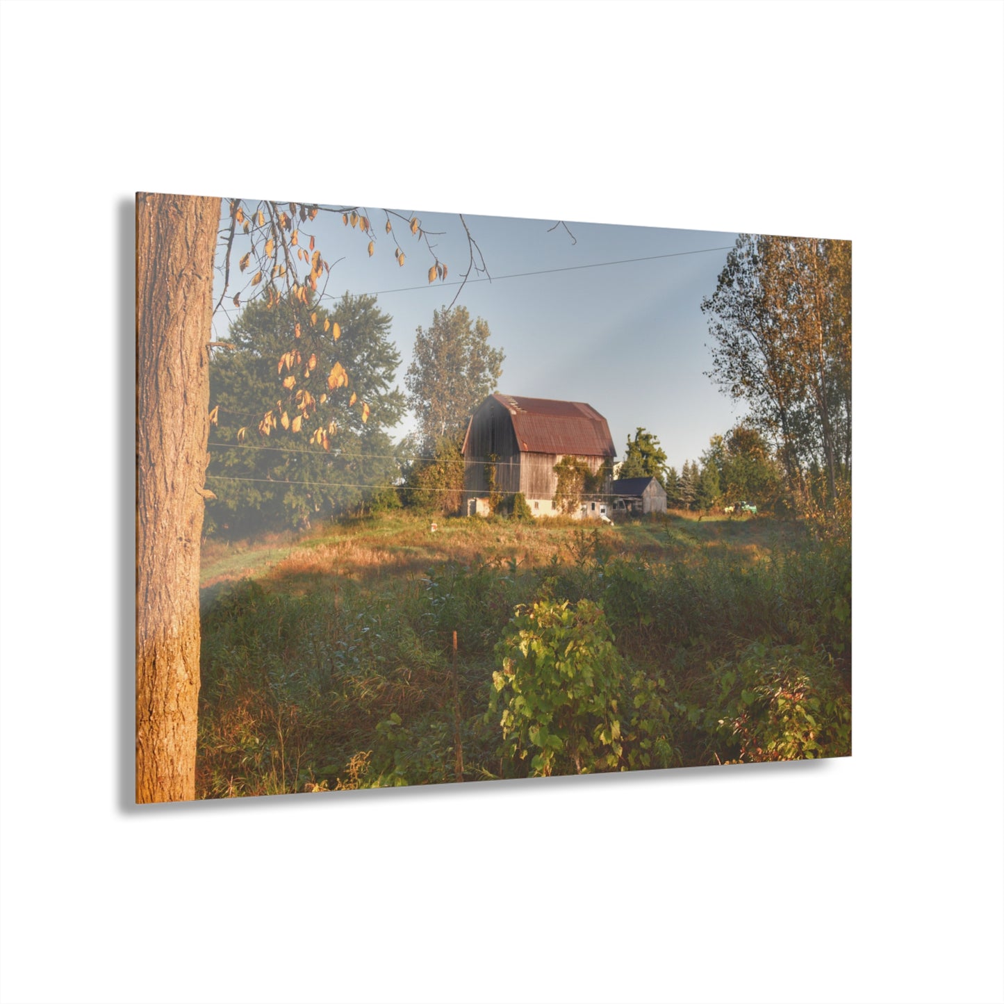 U R There Photography Swaffer Road Little Grey Rustic Farmhouse Acrylic Wall Print