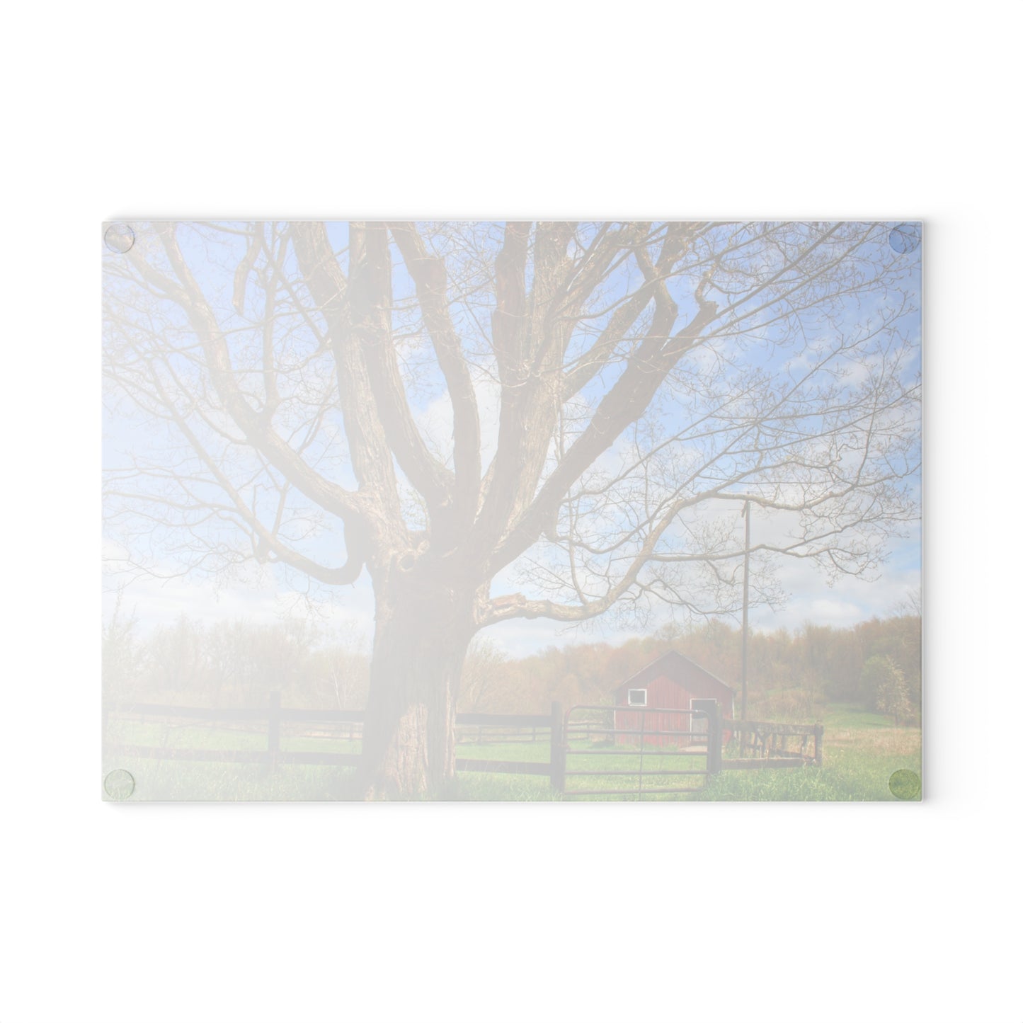 U R There Photography Delano Oak and Little Red Rustic Farmhouse Tempered-Glass Cutting Board