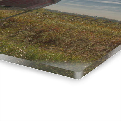 U R There Photography Mushroom Road Red II Rustic Farmhouse Acrylic Wall Print