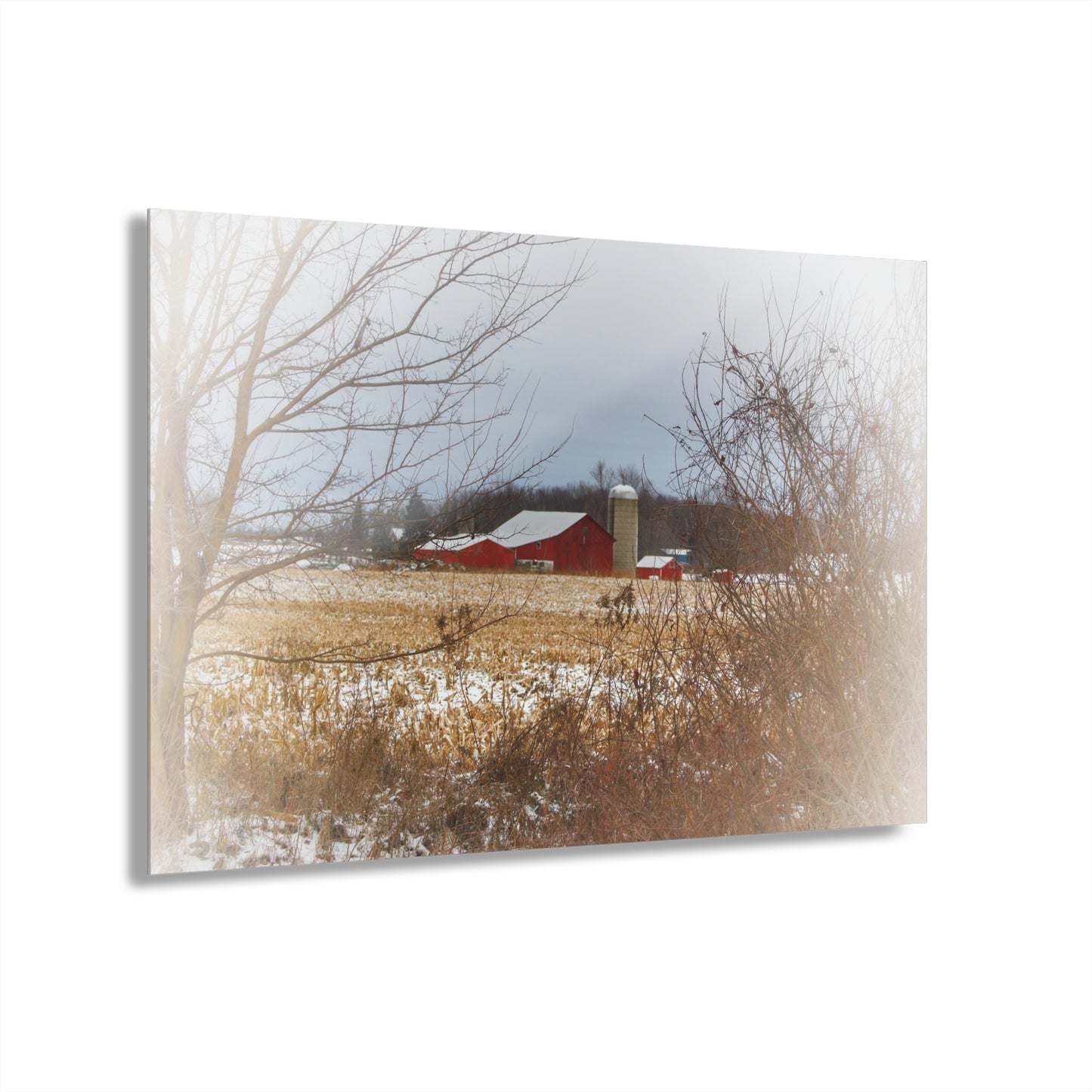 U R There Photography Brook Road Red in Winter Rustic Farmhouse Acrylic Wall Print
