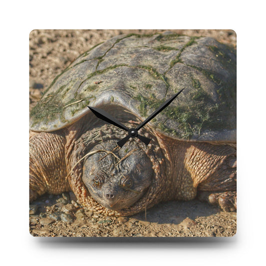 Fargo Road Turtle Rustic Farmhouse Acrylic Analog Wall Clock 10.75'' × 10.75'' (Square)