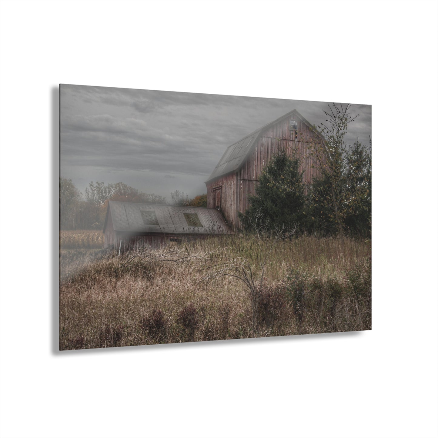 U R There Photography Treasurer Road Red Rustic Farmhouse Acrylic Wall Print