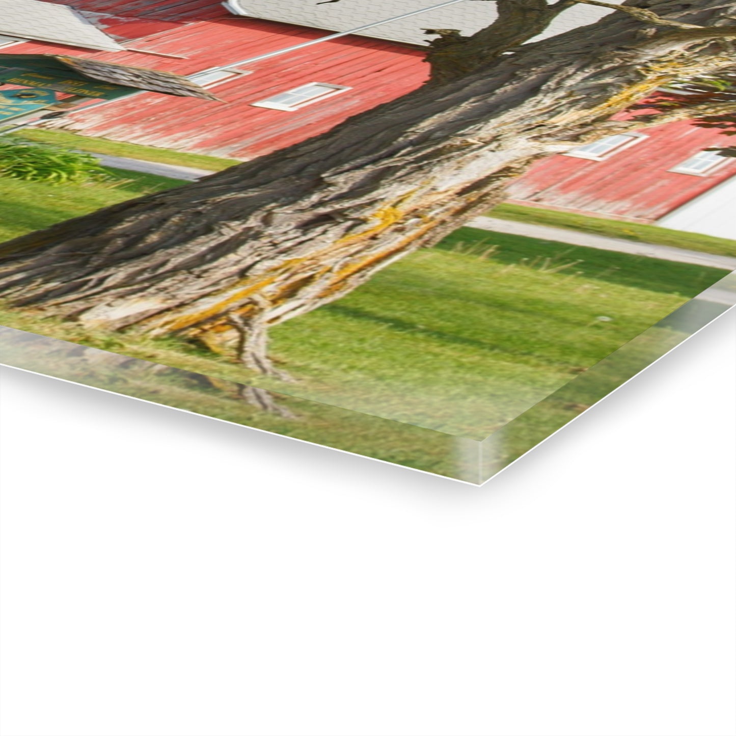 U R There Photography French Road Centennial Reds I Rustic Farmhouse Acrylic Wall Print