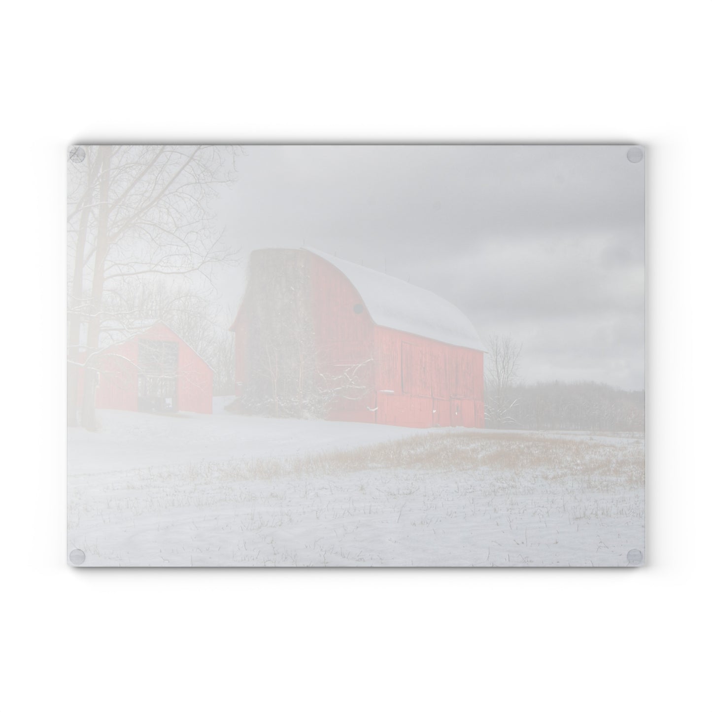U R There Photography Catlin Reds in Winter II Rustic Farmhouse Tempered-Glass Cutting Board