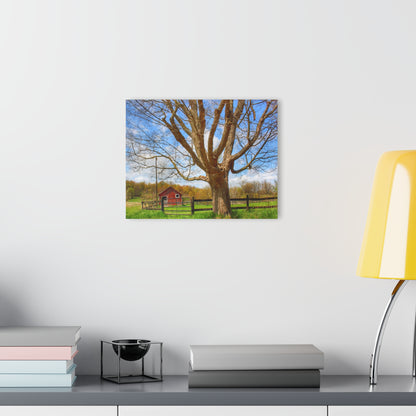 U R There Photography Delano Oak and Little Red Rustic Farmhouse Acrylic Wall Print