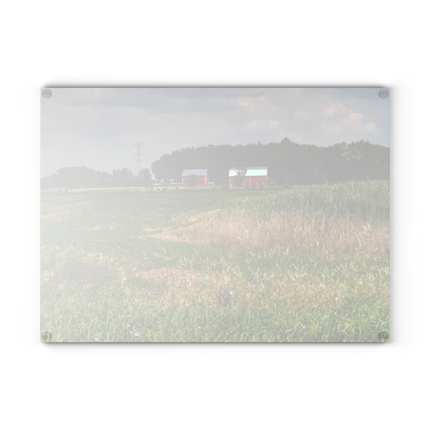 Barn Boutique Rustic Tempered-Glass Cutting Board| Across the Field in Elba II