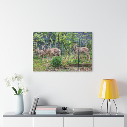 Barn Boutique Modern Farmhouse Acrylic Wall Print| Does of Clarkston