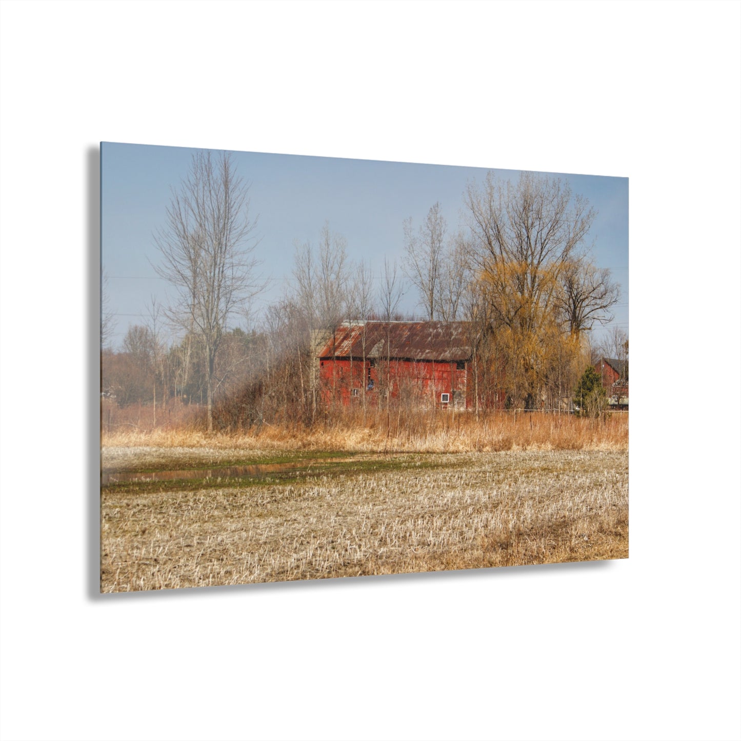 U R There Photography Hidden Scotch Settlement Red Rustic Farmhouse Acrylic Wall Print