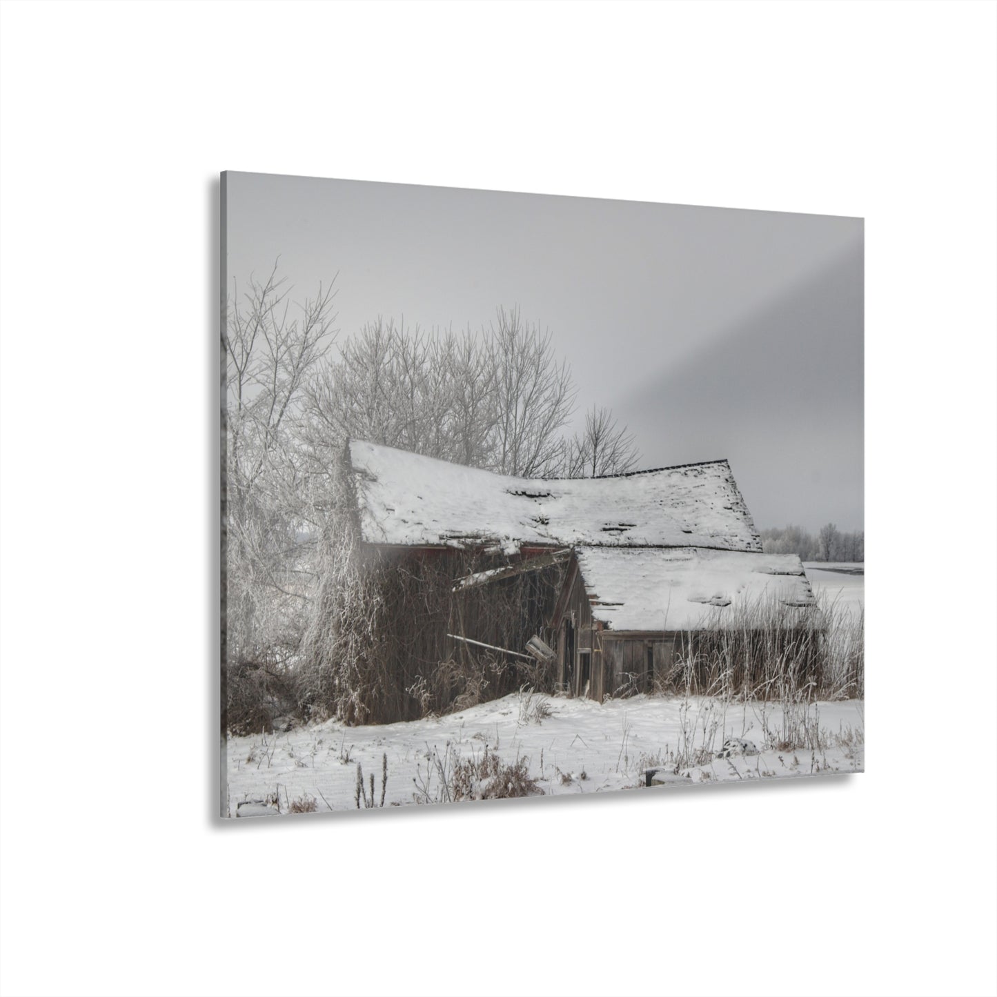 U R There Photography Grey Shacks of Mayville Rustic Farmhouse Acrylic Wall Print
