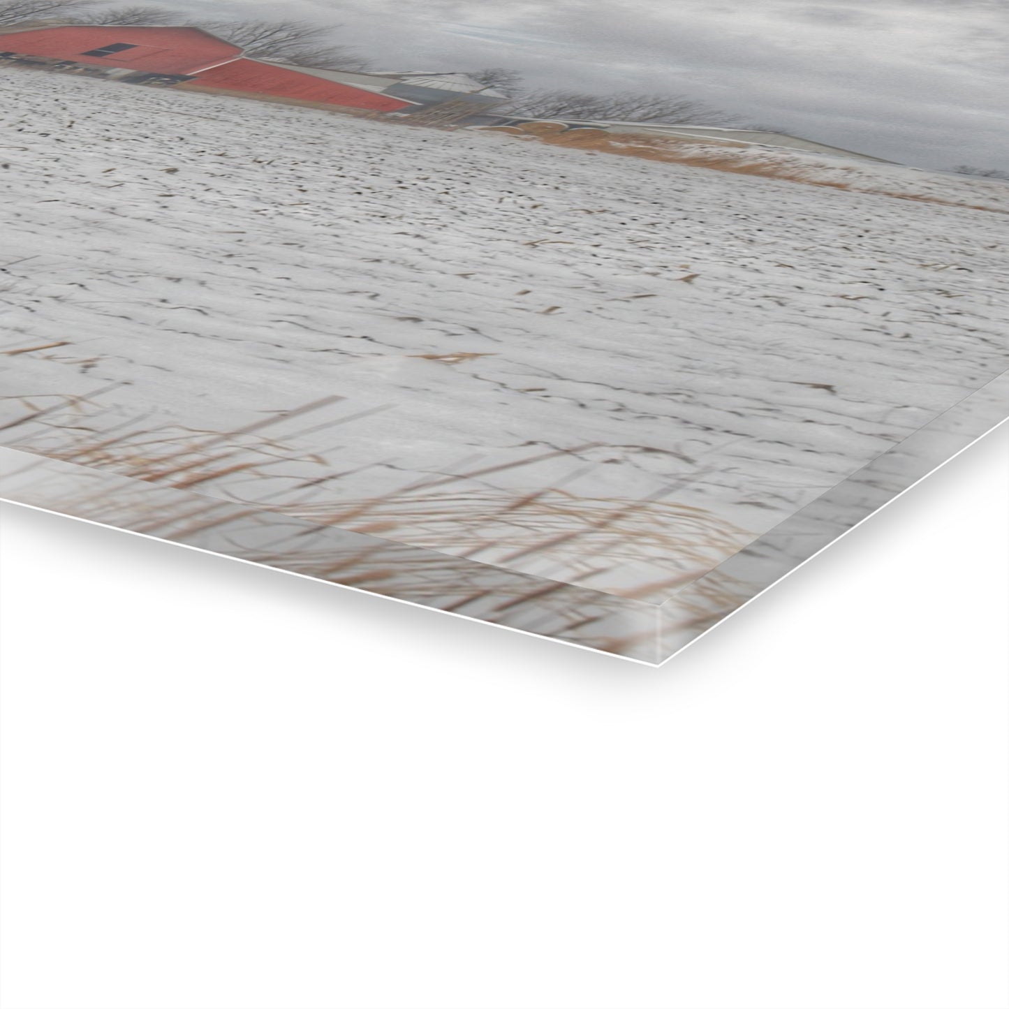 U R There Photography Maple Valley Road Red II Rustic Farmhouse Acrylic Wall Print