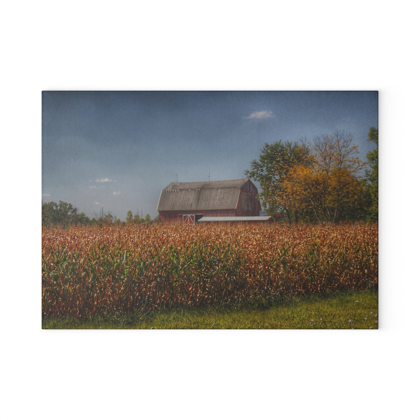U R There Photography Clifford Road Red III Rustic Farmhouse Tempered-Glass Cutting Board