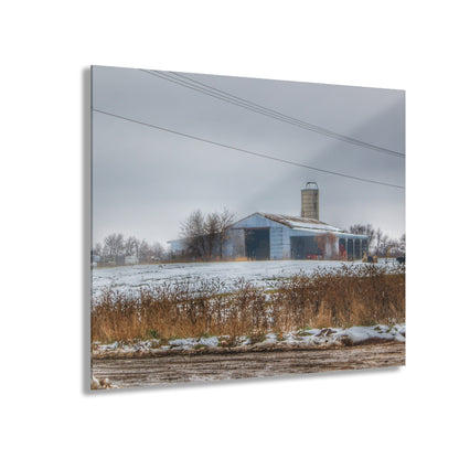 U R There Photography Noble Road Blue Cow Barn Rustic Farmhouse Acrylic Wall Print