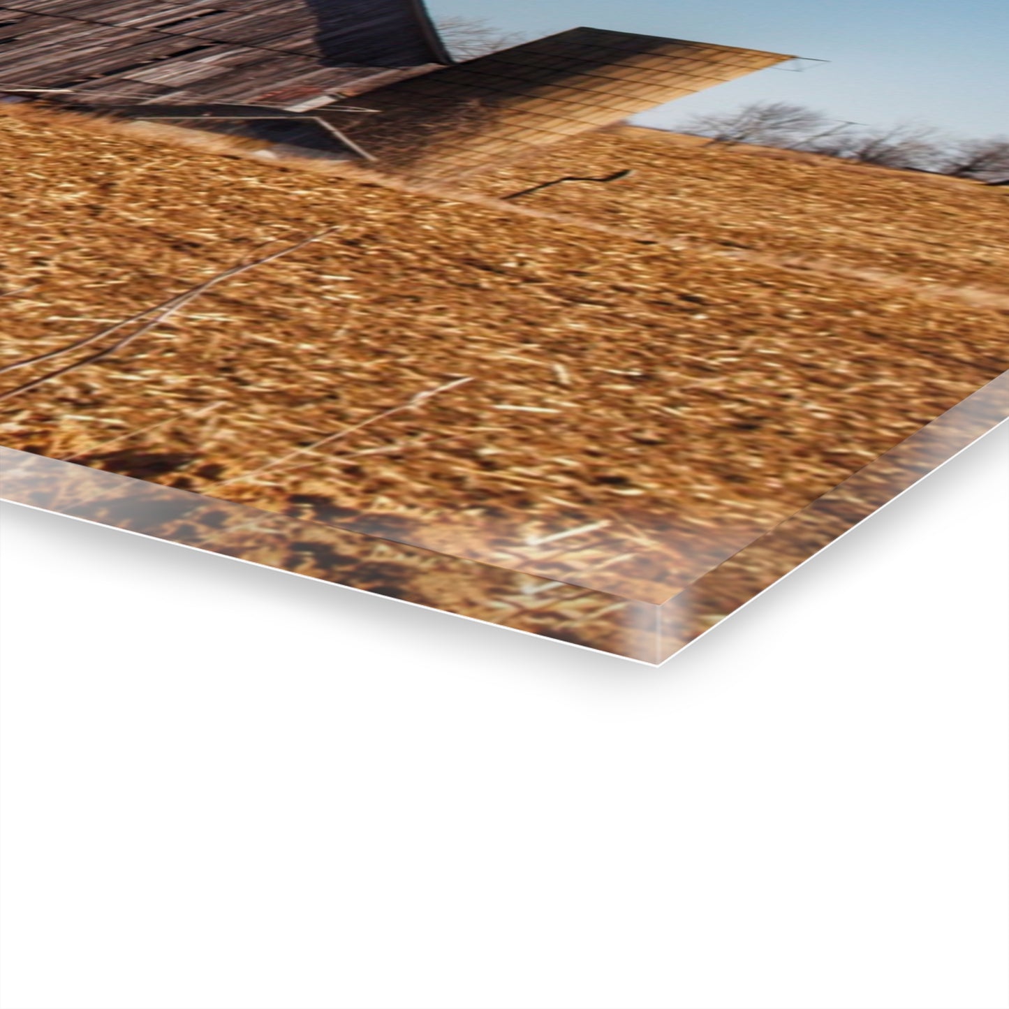 U R There Photography Hurds Corner Grey Rustic Farmhouse Acrylic Wall Print