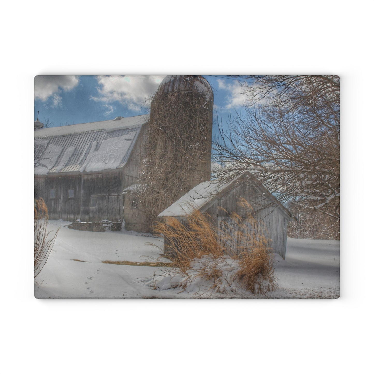 U R There Photography Ludwig Road Greys in Winter Rustic Farmhouse Tempered-Glass Cutting Board