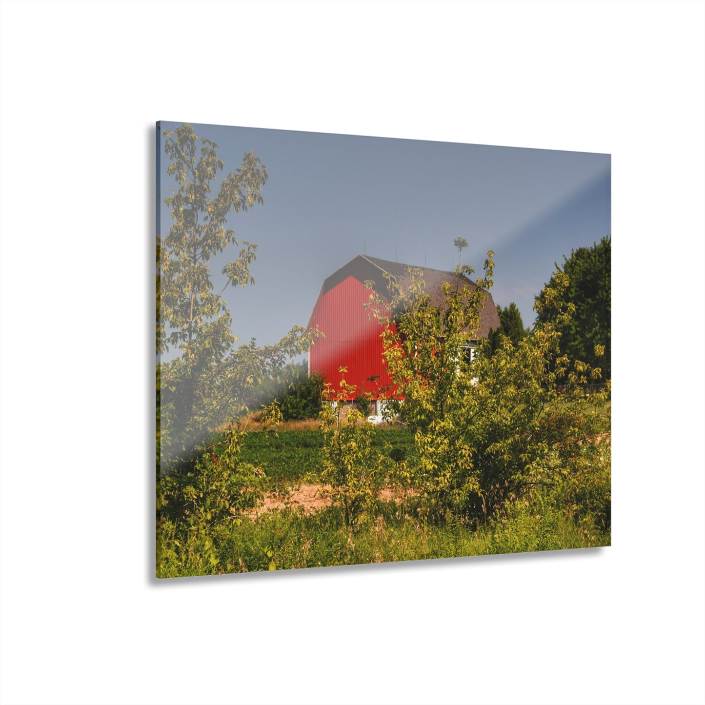 U R There Photography Beyond the Bushes Red Rustic Farmhouse Acrylic Wall Print 14 "x 11"