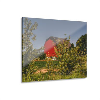 U R There Photography Beyond the Bushes Red Rustic Farmhouse Acrylic Wall Print 14 "x 11"