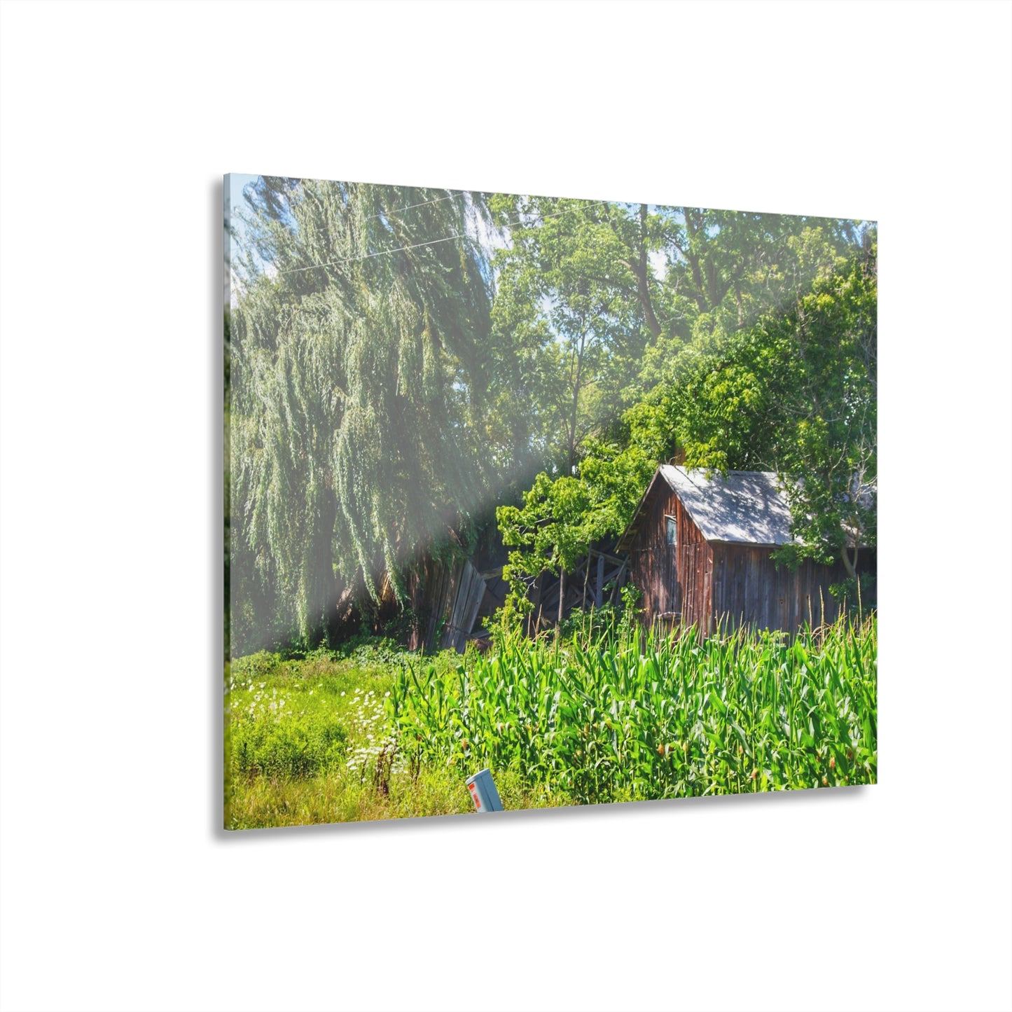 U R There Photography Roadside Ruin Rustic Farmhouse Acrylic Wall Print
