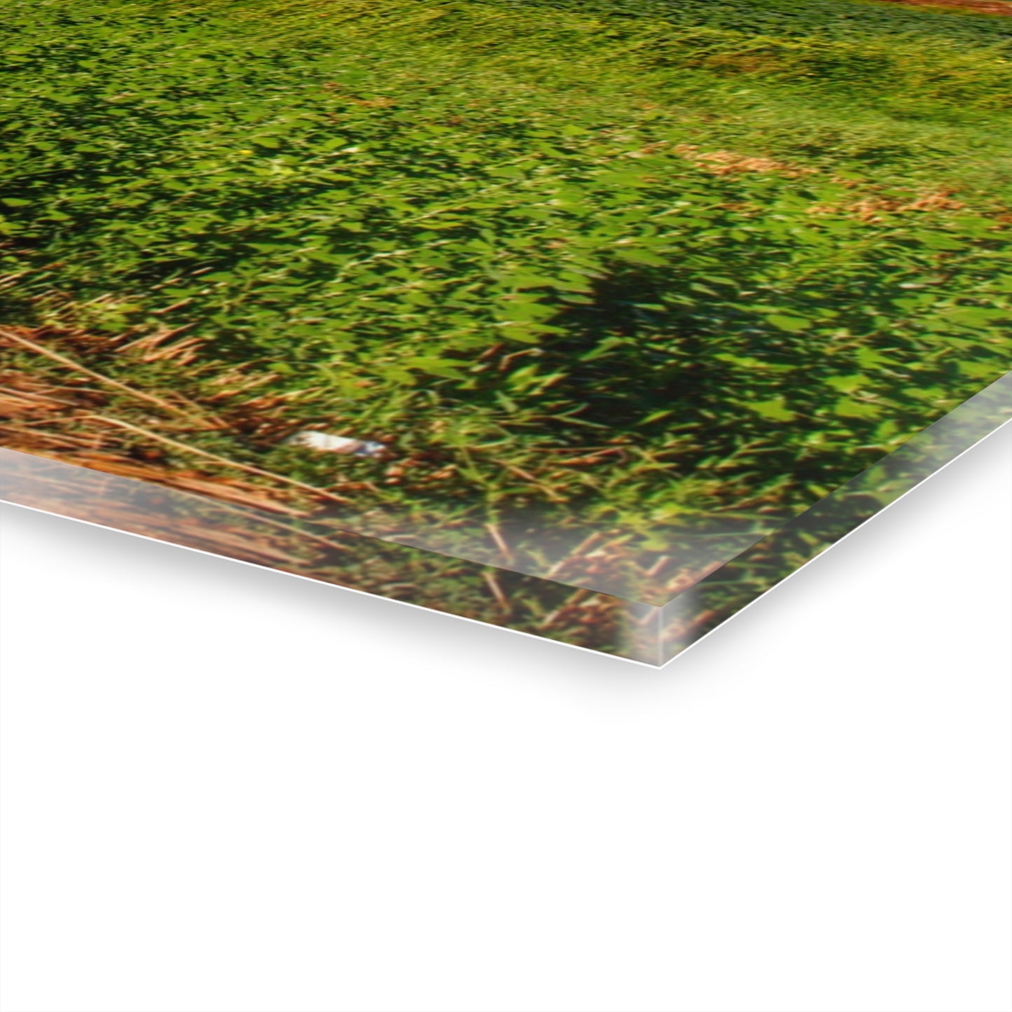 U R There Photography Kidder Road Blues I Rustic Farmhouse Acrylic Wall Print