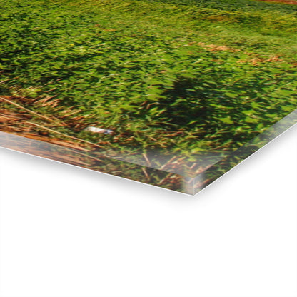 U R There Photography Kidder Road Blues I Rustic Farmhouse Acrylic Wall Print