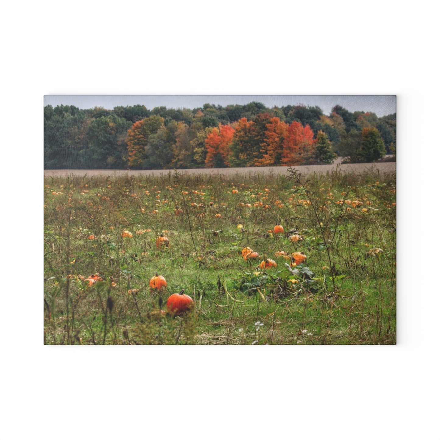 U R There Photography Once Upon a Time in a Pumpkin Patch Rustic Farmhouse Tempered-Glass Cutting Board