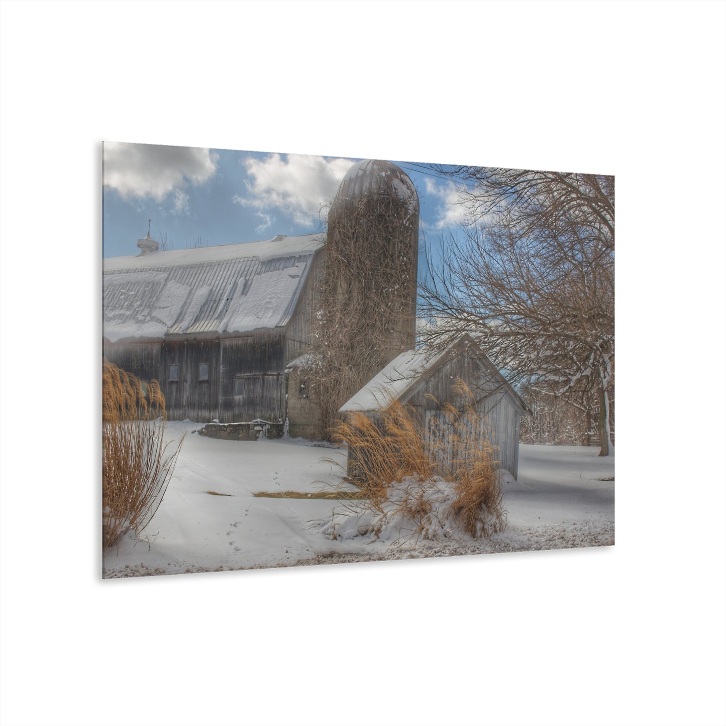 U R There Photography Ludwig Road Greys in Winter Rustic Farmhouse Acrylic Wall Print