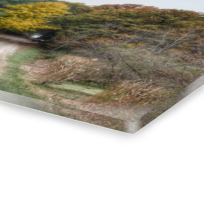 U R There Photography Country Roads in Dryden I Rustic Farmhouse Acrylic Wall Print